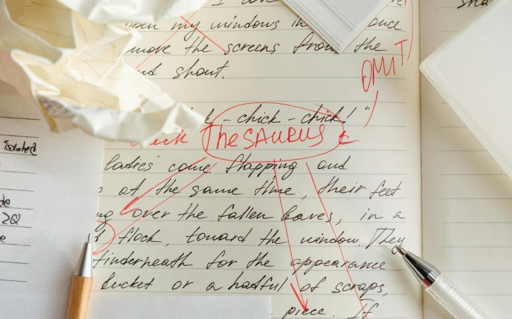 Write as A Plotter?  Edit as a&nbsp;Pantser.